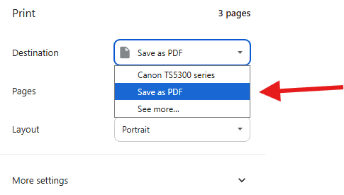 Browser print dialog with Save as PDF option highlighted in the Destination dropdown.
